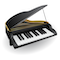 Piano Chords and Scales icon