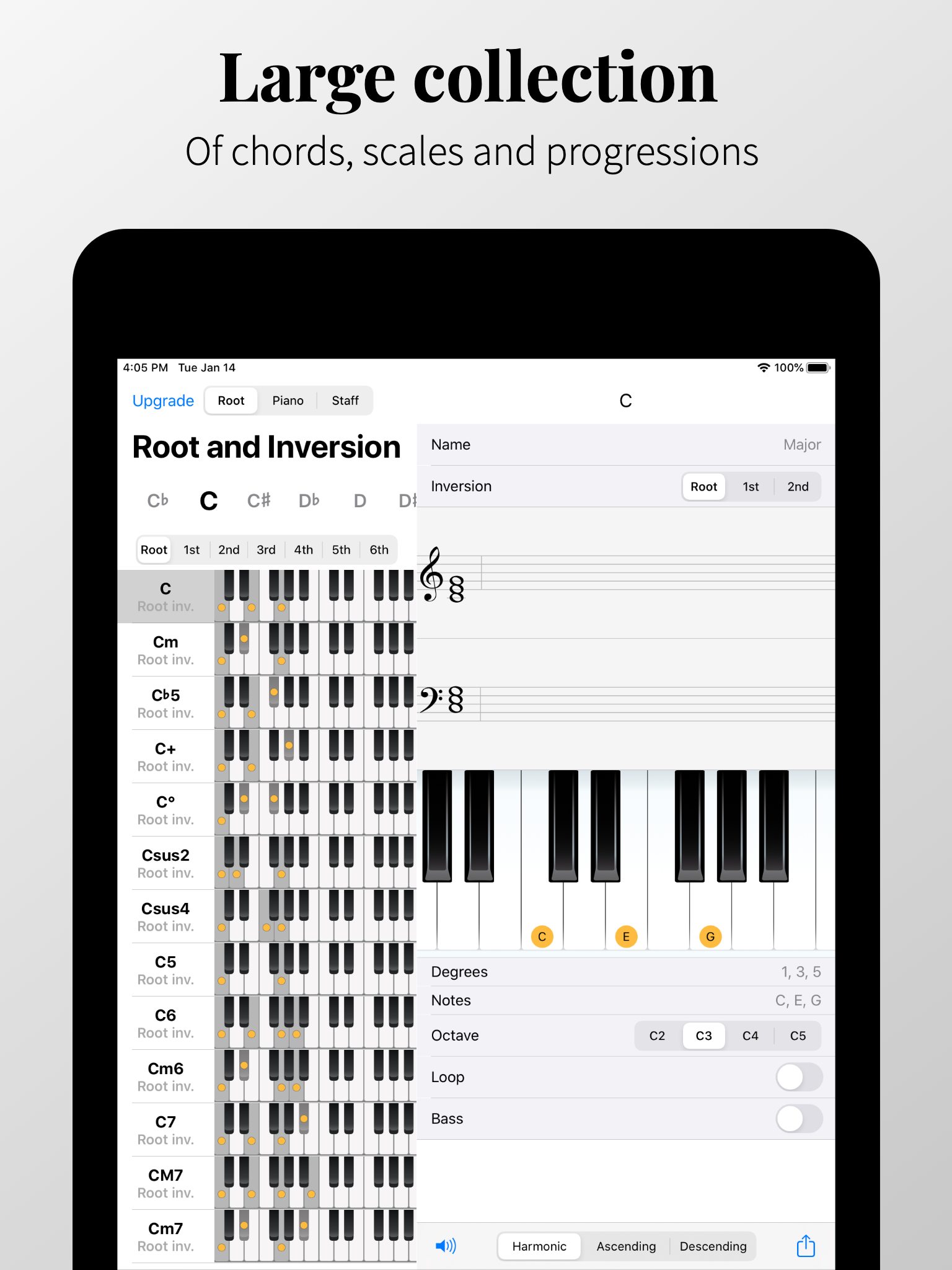 Piano Chords and Scales screenshot