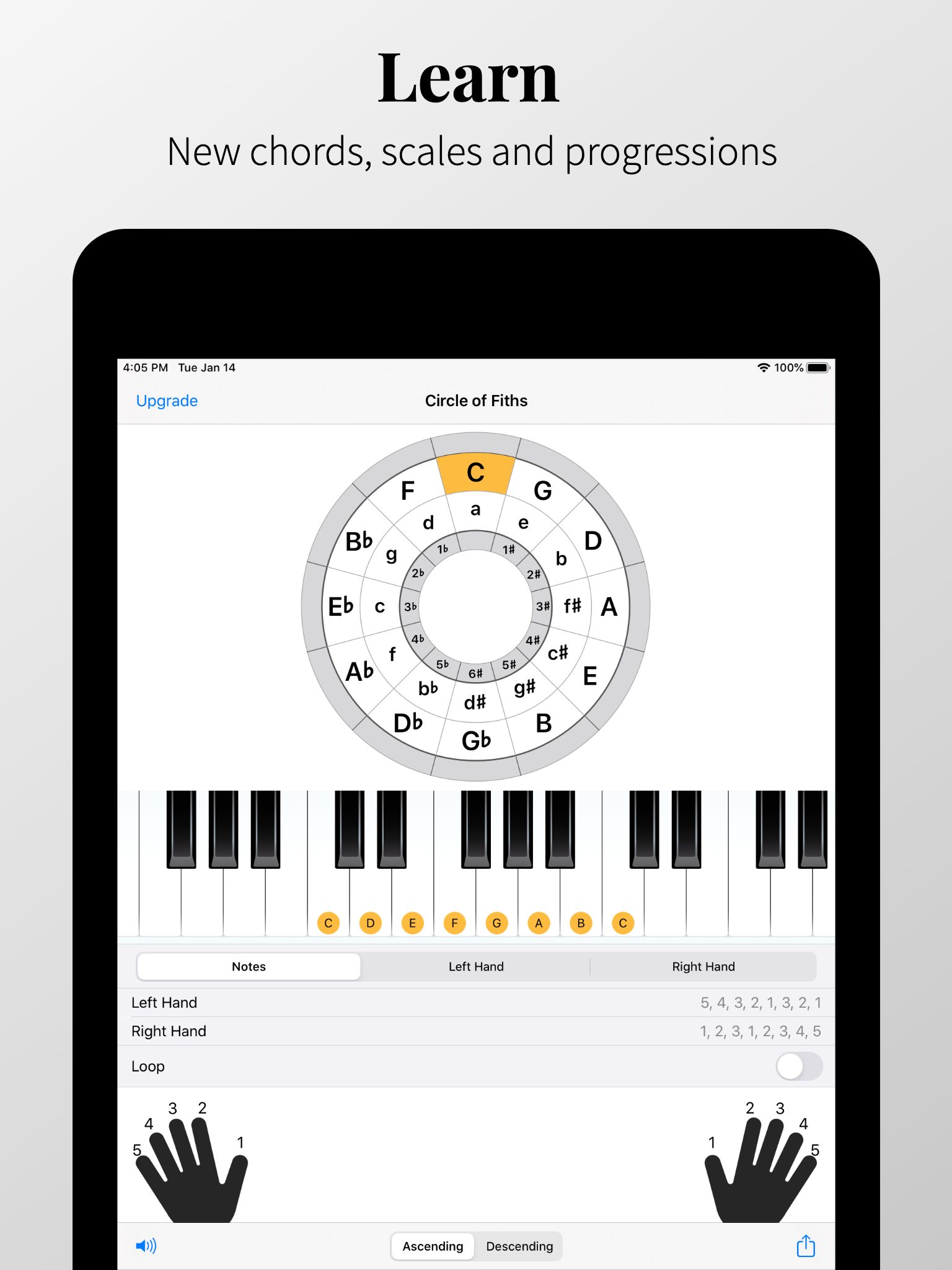 Piano Chords and Scales screenshot